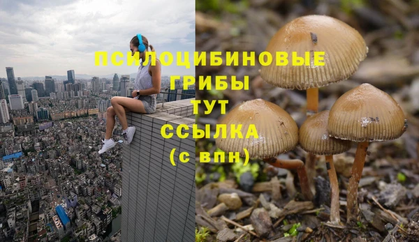 первитин Бородино
