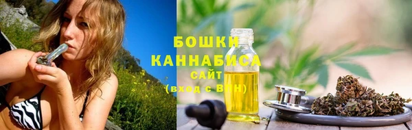 шишки Бугульма
