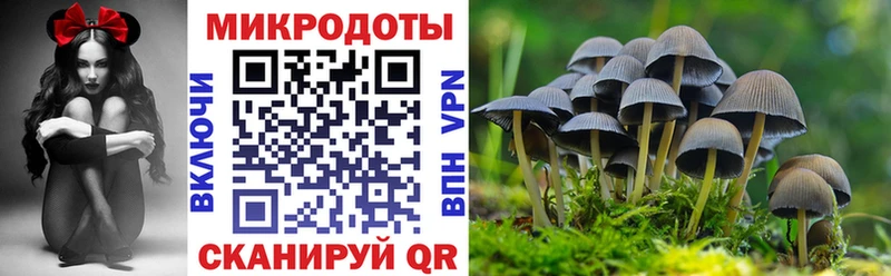 Псилоцибиновые грибы Psilocybine cubensis  купить наркотик  kraken как зайти  Давлеканово 